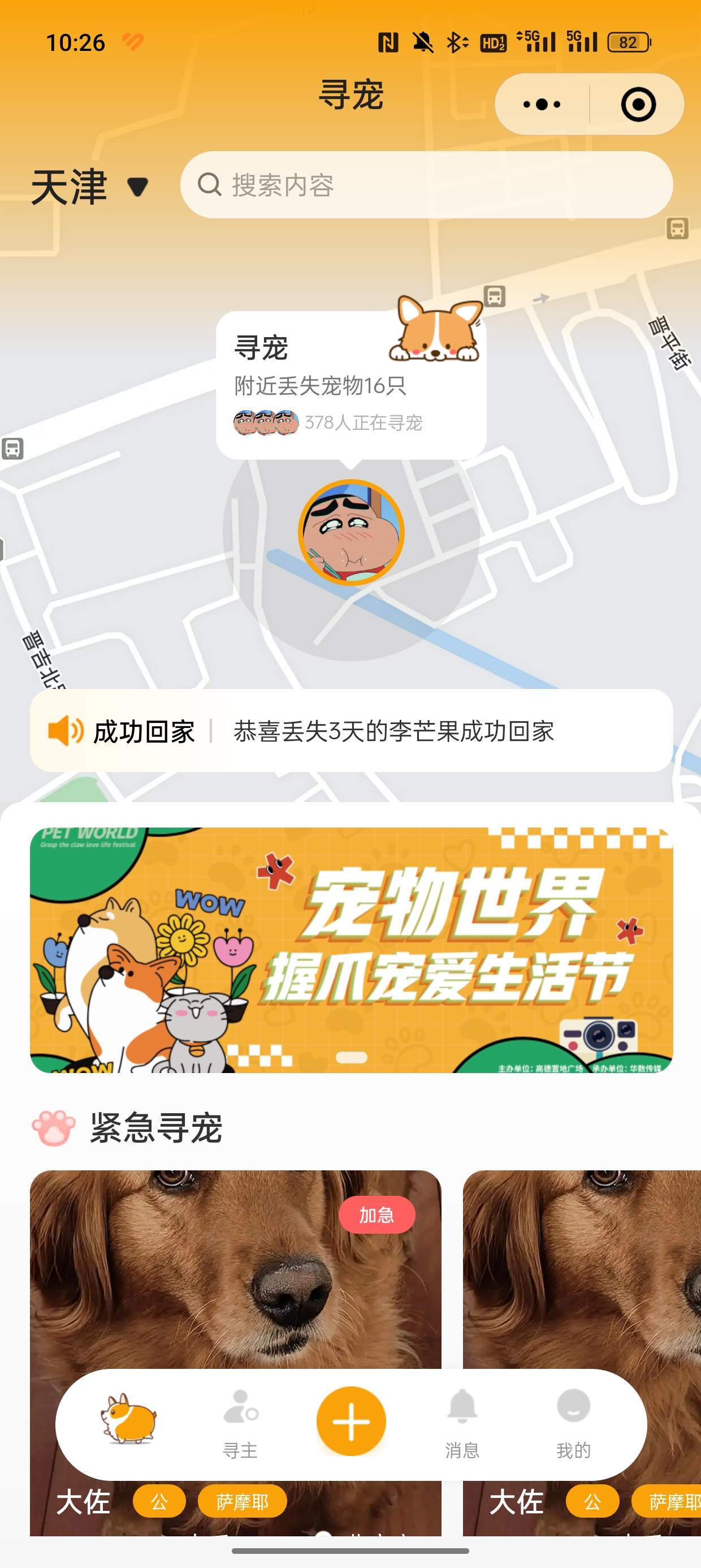 寻宠助手小程序界面 - 寻宠功能展示