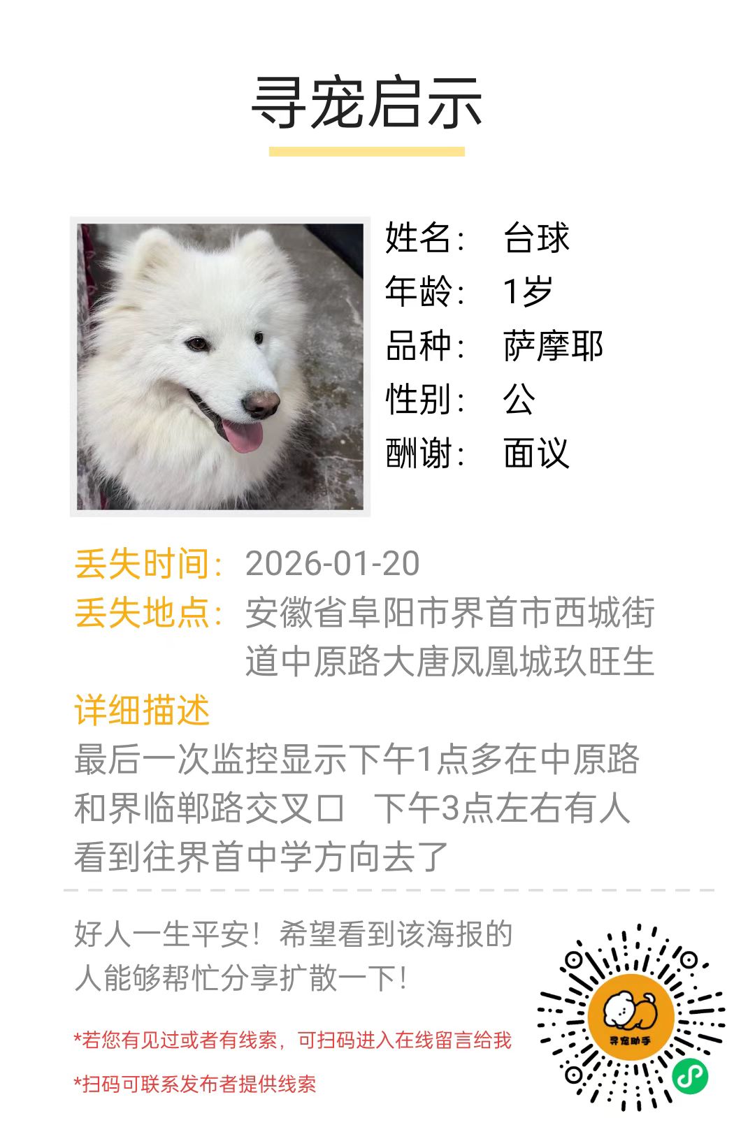 寻宠启示自动生成 - 宠物信息展示模板