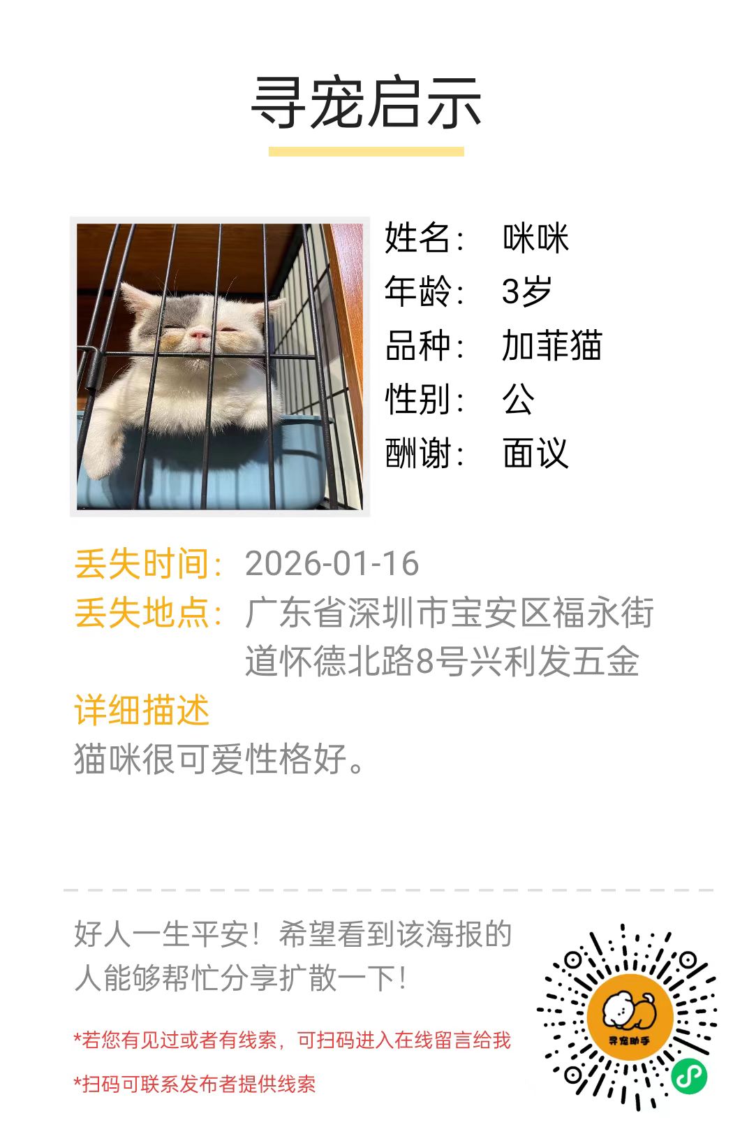 寻宠启示生成系统 - 一键生成专业寻宠海报